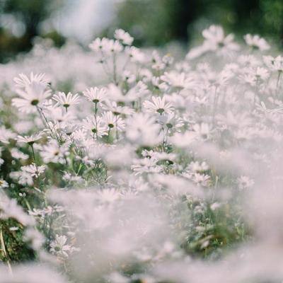 竞猜足球app截图